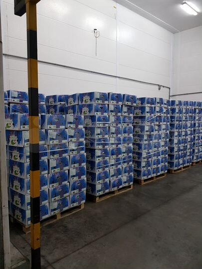 Склад, 650 м²