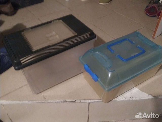 Контейнер для животных