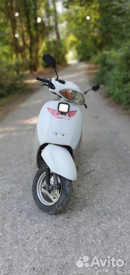 Honda Tact af 51