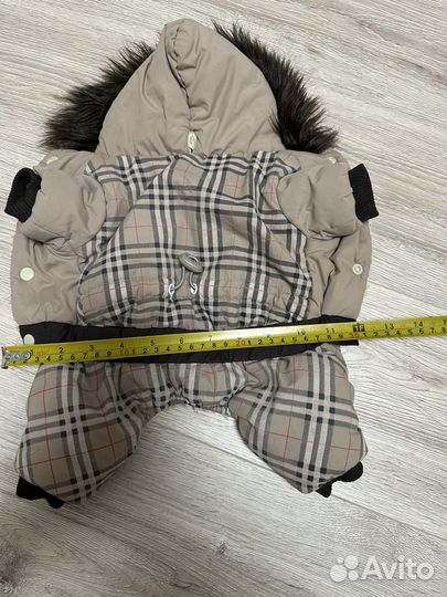 Одежда для собак мелких пород