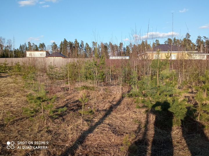 Участок 15 сот. (СНТ, ДНП)