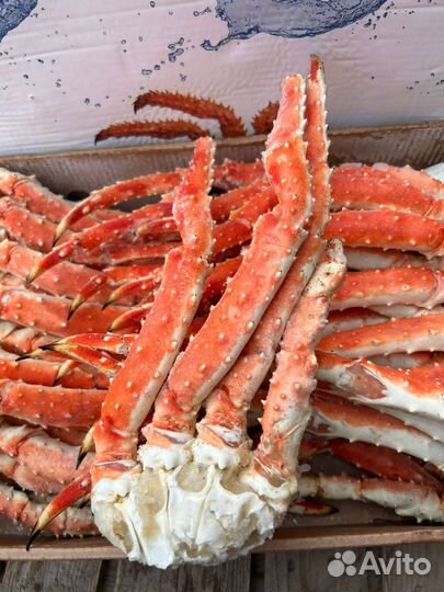 Краб камчатский конечности