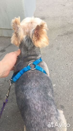 Вязка Ерка Бесплатно