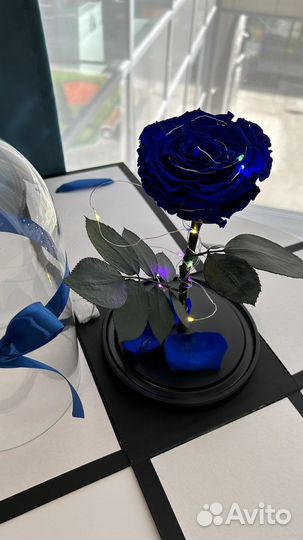 Светильник роза стабилизированная