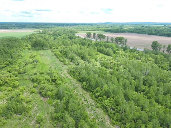 Участок 10,7 сот. (ИЖС)