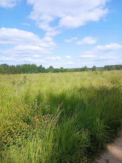 Участок 3,6 га (СНТ, ДНП)