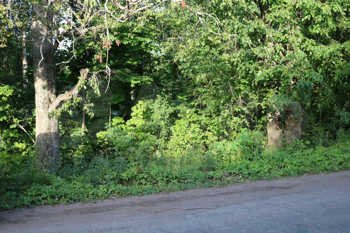 Участок 20 сот. (ИЖС)