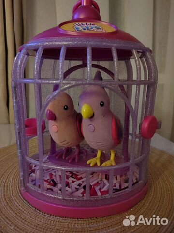 Little live pets птички