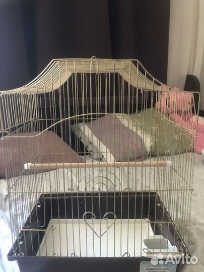 Клетка для попугая