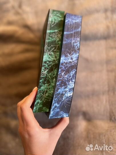 Карина шнелль