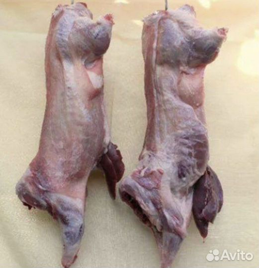 Мясо нутрии