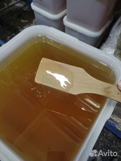 Свежий мед акация оптом