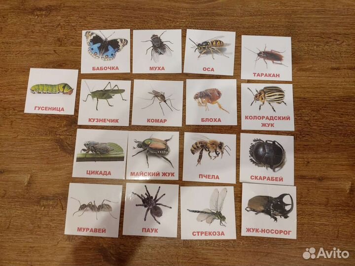 Карточки Домана, 111 шт