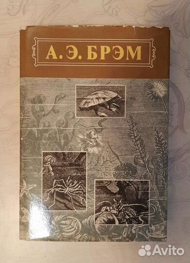 Книги Брэм А. Э