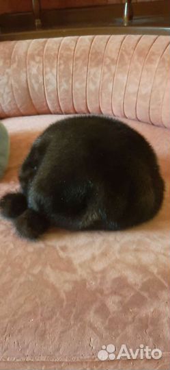 Берет норковый