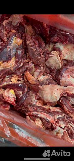 Натуральный корм для домашних питомцев