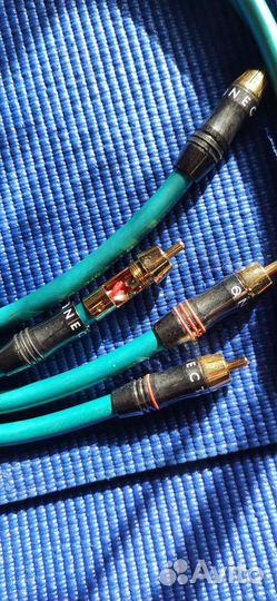 Межблочный кабель Qed