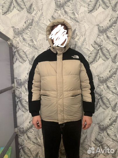 Мужская зимняя куртка TNF