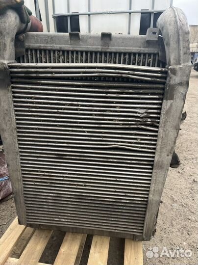 Радиатор маз