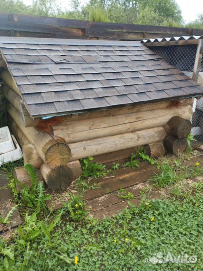 Курятник, домик для птиц, уток бу