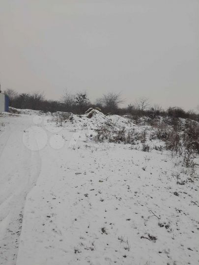 Участок 75 сот. (СНТ, ДНП)