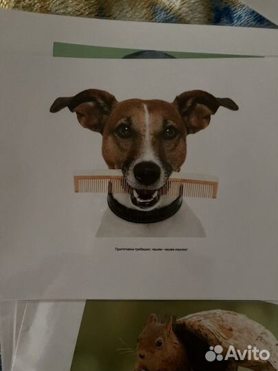 Пособия для логопедов. Артикуляционная гимнастика