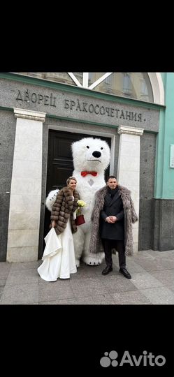 Белый Мишка поздравление, happy birthday