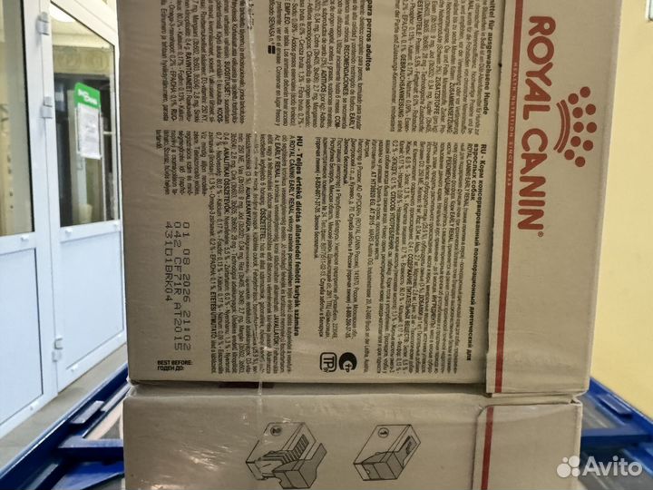 Renal для собак