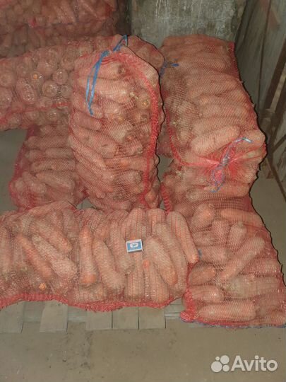 Морковь, картофель на корм животным