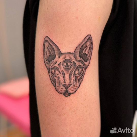 Начинающий тату-мастер ищет моделей