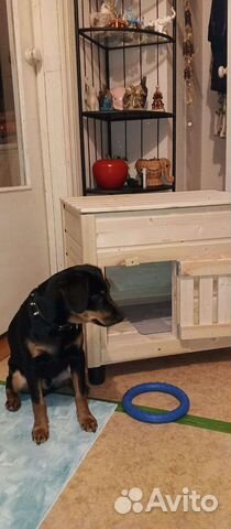 Домик Вальтер для животных