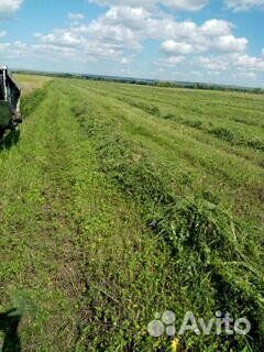 Продам сено в рулонах