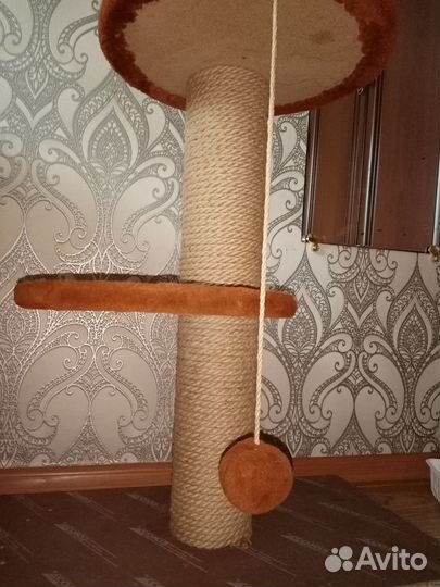 Товары для животных