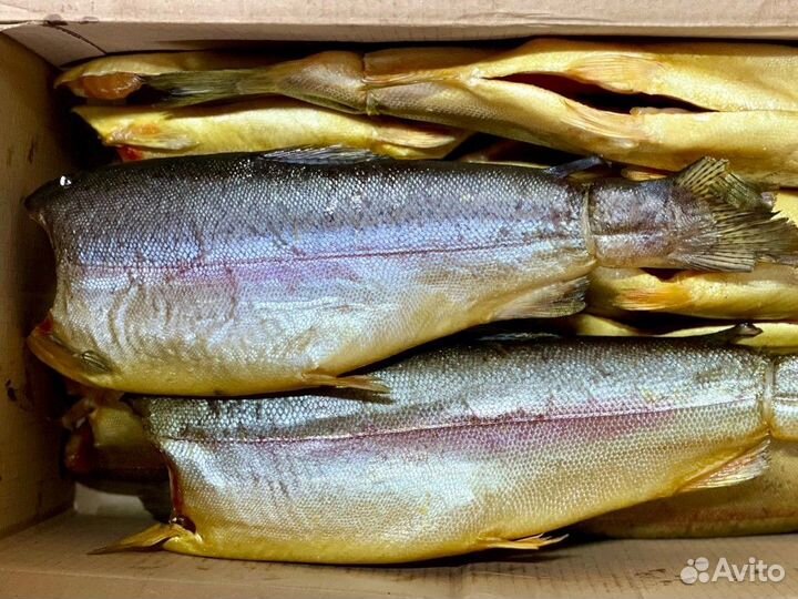 Ёрш форель холодного копчения рыба и морепродукты