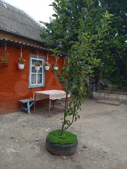 Дом 47 м² на участке 4 сот.