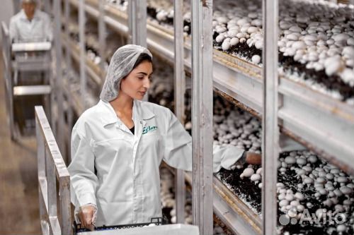 Рабочий на производство без опыта