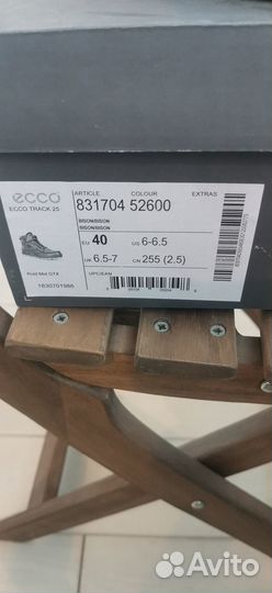 Ecco track 25