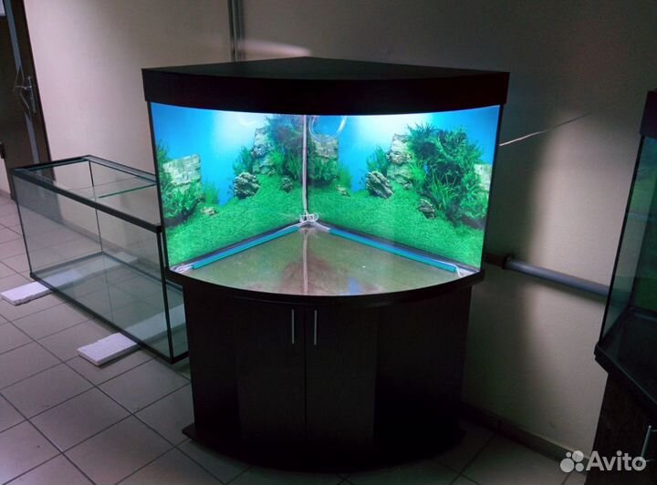 Аквариум 300л. угловой полукруглый, AguaStudio