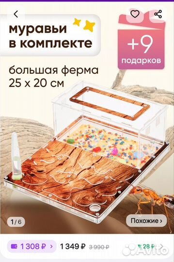 Муравьиная ферма с сертификатом на муравьёв