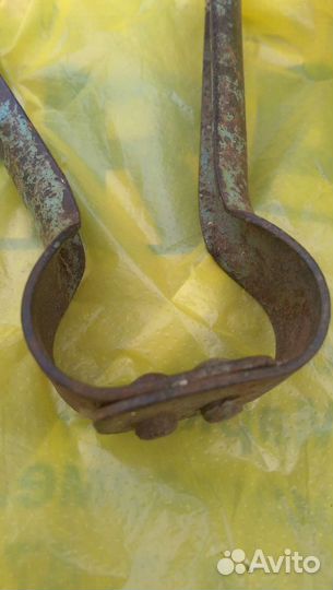 Ножницы для стрижки овец