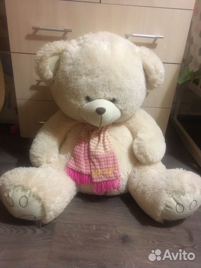 Большой поющий медведь