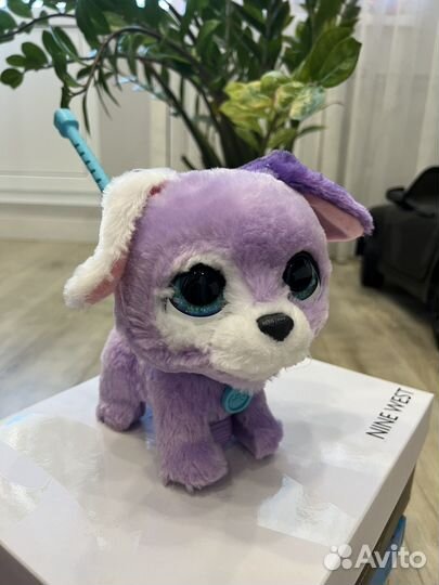 Собака интерактивная и розочка