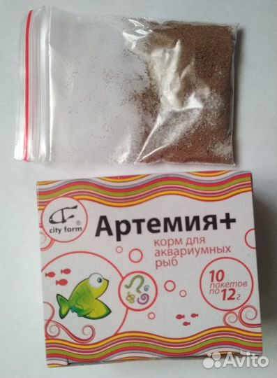 Скалярии молодь