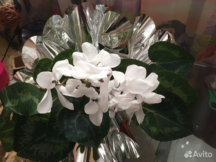 Упаковочная бумага для цветов и для подарков