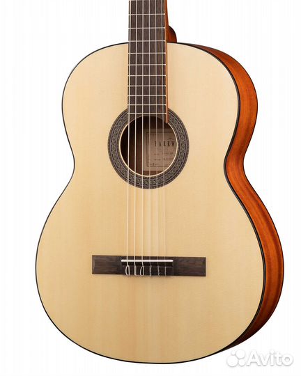 Классическая гитара 4/4 с чехлом Parkwood PC90