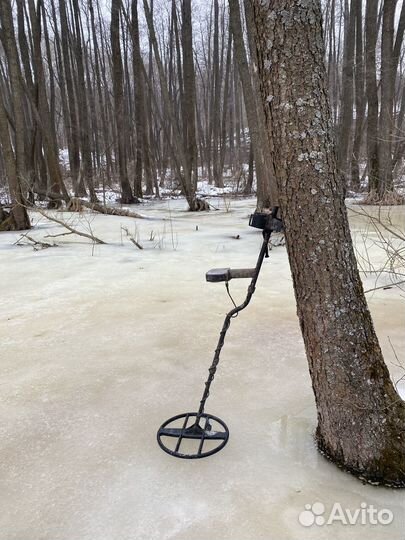 505 x terra Катушка 15д 7,5 чек коробка 19год