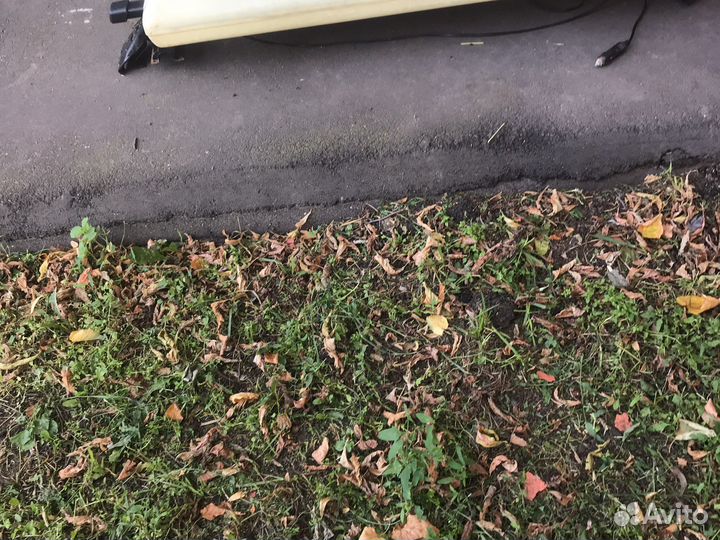 Рамка ядекс го