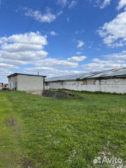 Продается ферма