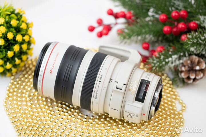 Canon EF 28-300mm f/3.5-5.6L IS USM, обмен