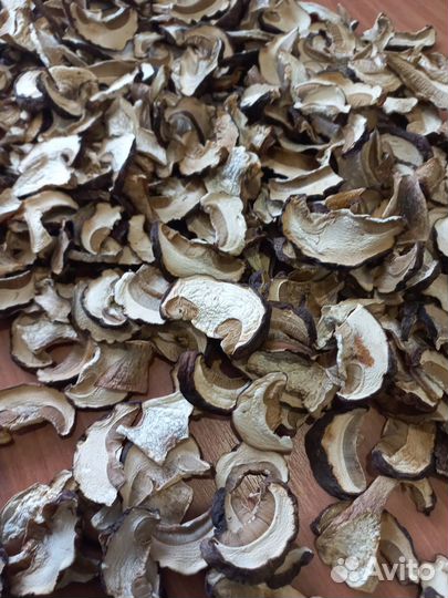 Белые грибы